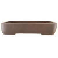 Bonsai pot 59.5x43.5x12.5cm dark-brown rectangular unglaced