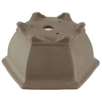 Bonsai pot 31.5x28x14.5cm dark-grey hexagonal unglaced