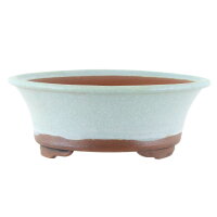 Bonsai pot 19,5x19,5x7cm sky blue round glaced
