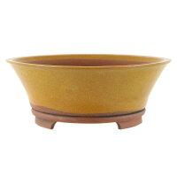 Bonsai pot 22,5x22,5x8,5cm ochre round glaced