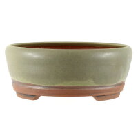 Bonsai pot 21x21x8,5cm dark olive round glaced