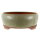 Bonsai pot 23,5x23,5x10cm dark olive round glaced