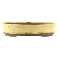 Bonsai pot 30,5x28x6,5cm beige oval glaced