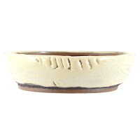 Bonsai pot 30,5x23x6cm white oval glaced
