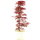 Japanischer Deshojo Fächerahorn, Bonsai, 9 Jahre, 57cm