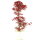 Acero palmato Deshojo, Bonsai, 9 anni, 59cm